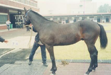 �������� ����