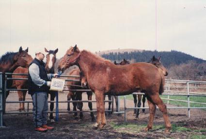 õ�չ� ����