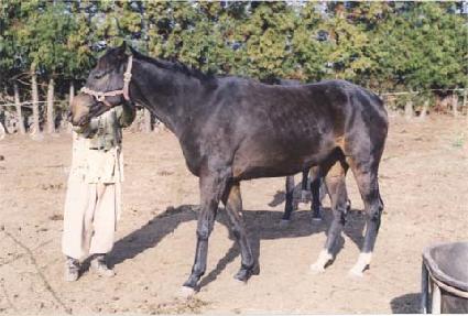 ����꼺 ����