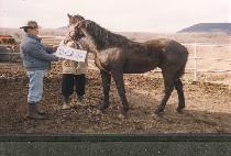 ��Ź (WONTAK) ����