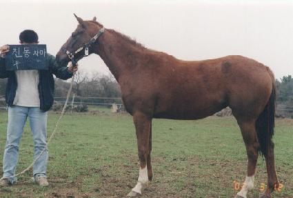 ������ ����