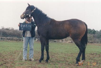 ĭ���Ͻ� ����