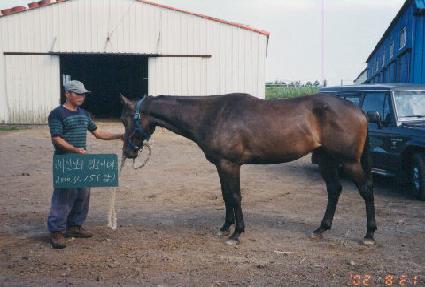 ��Ÿ�ڽ� ����