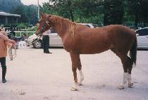 ������� (MANSU DAESEUNG) ����