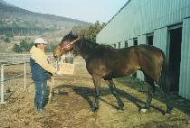 ����Ʈ�� (JUST ONE) ����