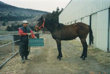 �ſ�� ����