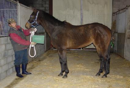 �ָӷ��� ����