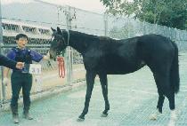 �����̰� (OH MYGIRL) ����