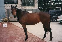 �������� (MEOTJIN YEGAM) ����