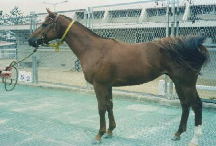 �Ÿ� ����