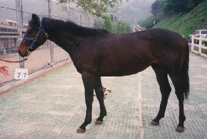 ���� ����