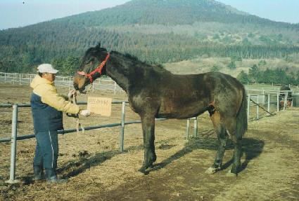 ����ͺα� ����