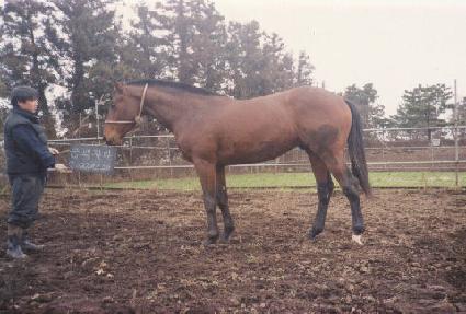 �ݻ��� ����