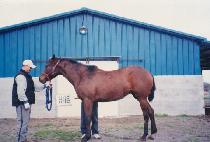 ����õ (YUJEONGCHEON) ����