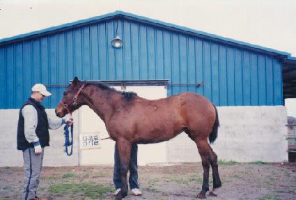 ����õ ����