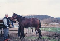 �Ҹ����� (SORI CHUKJE) ����