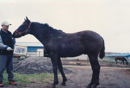 ���õ ����