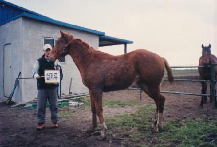 ���߹̾� ����