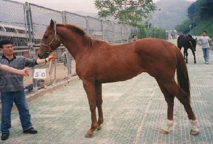 �׷����Ŀ� ����