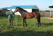 õ������ (CHEONJI SINJO) ����