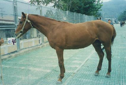 �������Ŀ� ����