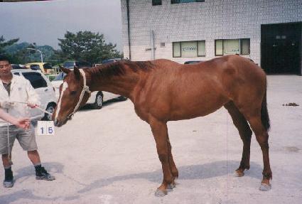 ���� ����