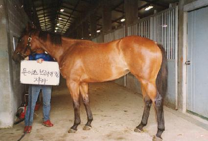 ��󸸸� ����