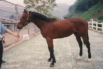 CHEONJI YEONGUNG picture