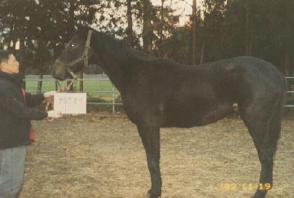 ������õ ����