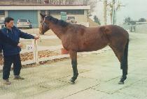 ����Ƽ��� (MIGHTY BAND) ����