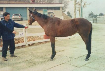 ����Ƽ��� ����