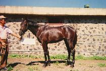 ���õ (HEUKBICHEON) ����