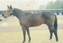 ������ (GURYONG DAEWANG) ����