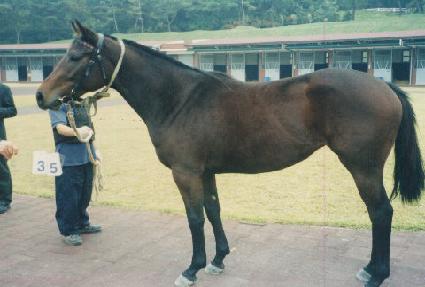 ��ũ���� ����