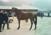 �轼 (JACKSON) ����