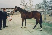 ���˵彺���� (WEEKEND SMILE) ����