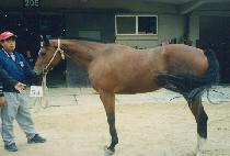 ��ǳ���� (UNGPUNG YEOGEOL) ����