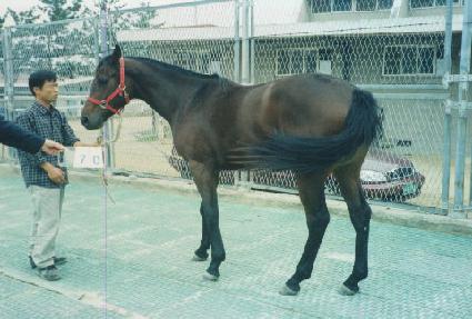 �����ҳ� ����