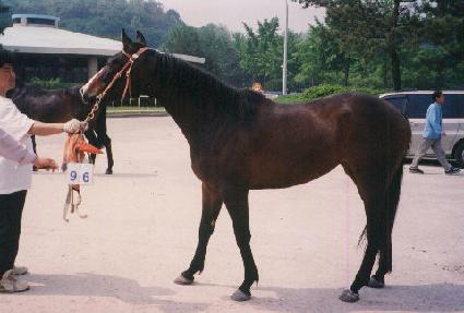 �׷���ĳ�Ͼ� ����