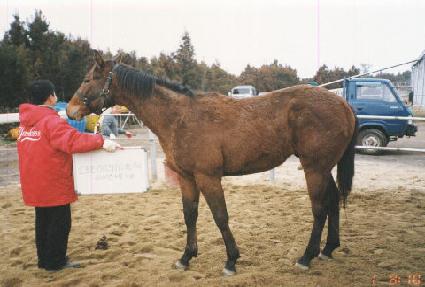 ���� ����