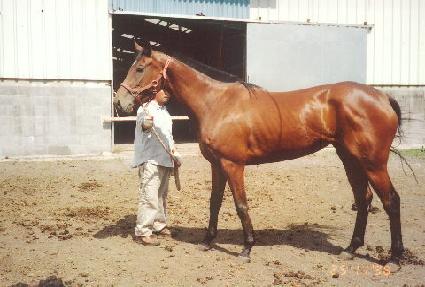 �Ϻ��� ����