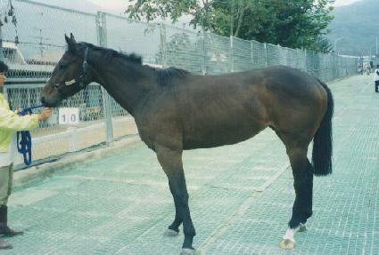 ����Ʈ ����