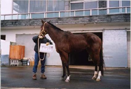 �Ѷ��Ǳ��� ����