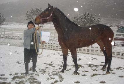 ��û�� ����