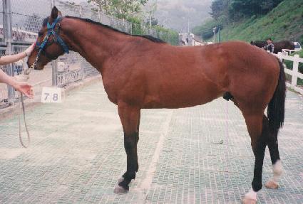 �������̵� ����