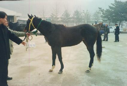 ���۵��� ����