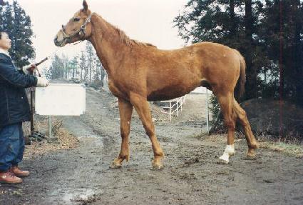 �Ƕ�°�� ����