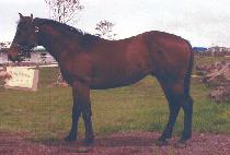 ǻó����Ʈ (FUTURE RESULT) ����