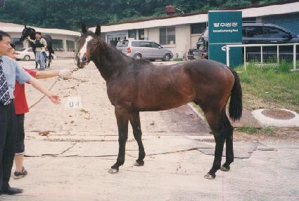 ��±⼼ ����