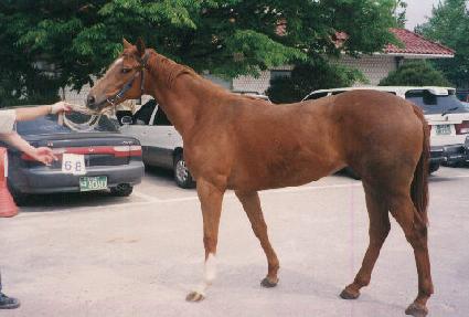 ���̴׷��̵� ����